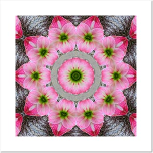 Expressionist Amaryllis Flower Mandala Kaleidoscope Posters and Art